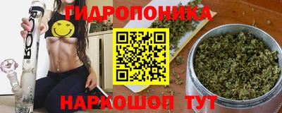 СК Краснодар