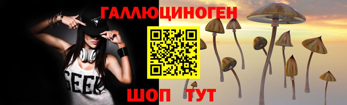 Саки  Псилоцибиновые грибы прущие грибы  Вход с VPN 